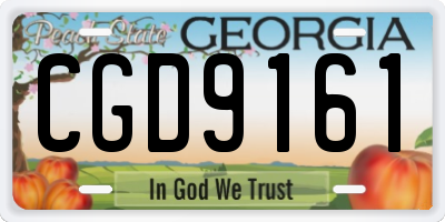 GA license plate CGD9161