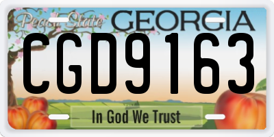 GA license plate CGD9163