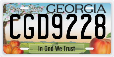 GA license plate CGD9228