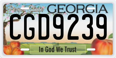 GA license plate CGD9239