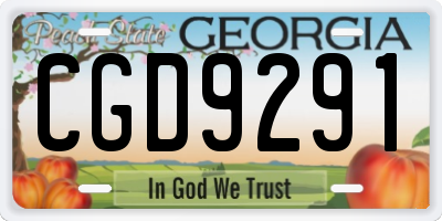 GA license plate CGD9291