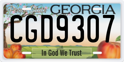 GA license plate CGD9307