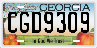 GA license plate CGD9309