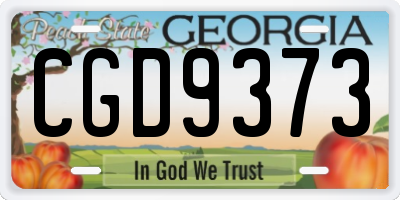 GA license plate CGD9373