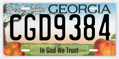 GA license plate CGD9384