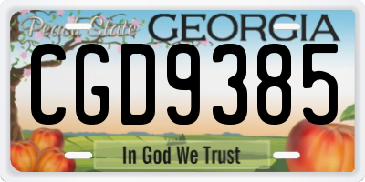 GA license plate CGD9385