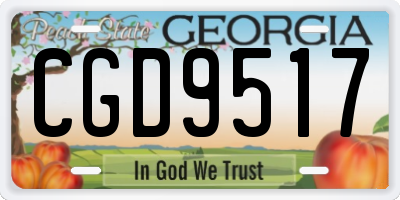 GA license plate CGD9517