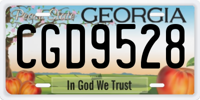 GA license plate CGD9528