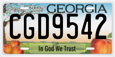 GA license plate CGD9542
