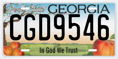 GA license plate CGD9546