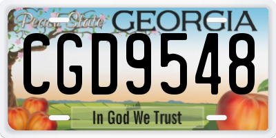 GA license plate CGD9548