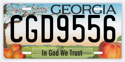 GA license plate CGD9556
