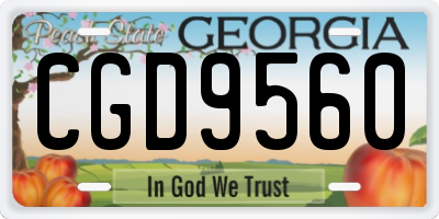 GA license plate CGD9560