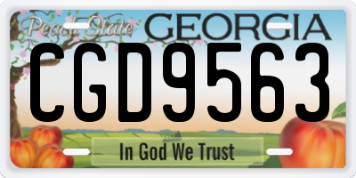 GA license plate CGD9563