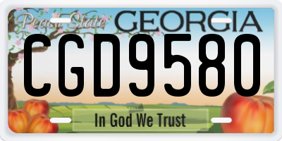 GA license plate CGD9580