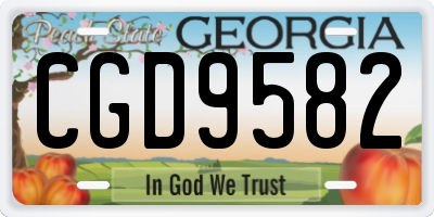 GA license plate CGD9582