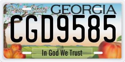 GA license plate CGD9585