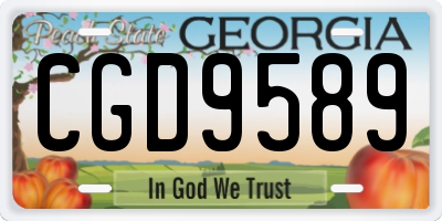 GA license plate CGD9589