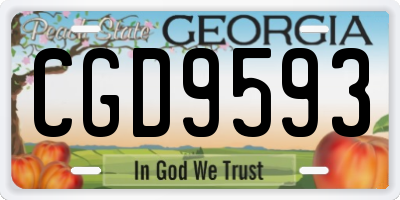 GA license plate CGD9593