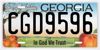 GA license plate CGD9596