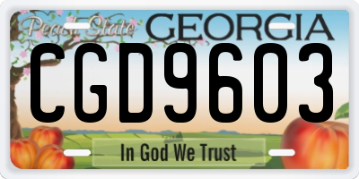 GA license plate CGD9603