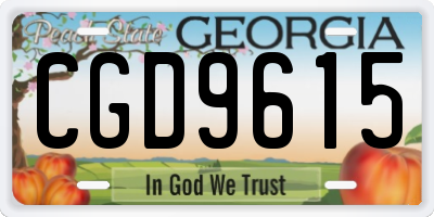 GA license plate CGD9615