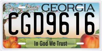 GA license plate CGD9616