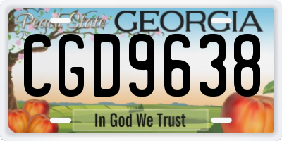 GA license plate CGD9638