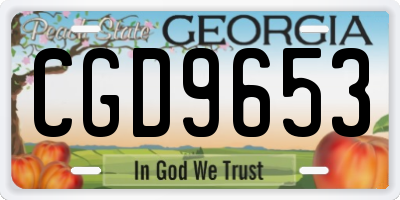 GA license plate CGD9653