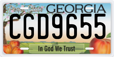 GA license plate CGD9655
