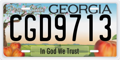GA license plate CGD9713
