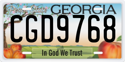 GA license plate CGD9768