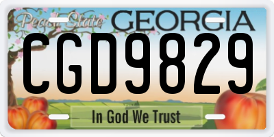 GA license plate CGD9829
