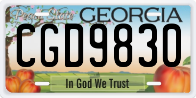 GA license plate CGD9830