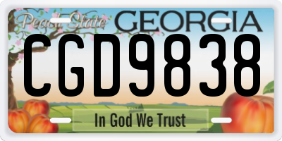 GA license plate CGD9838