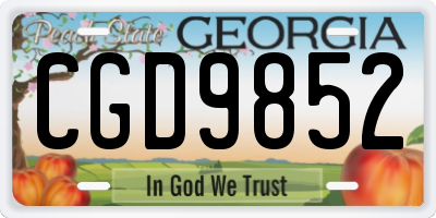 GA license plate CGD9852