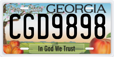 GA license plate CGD9898