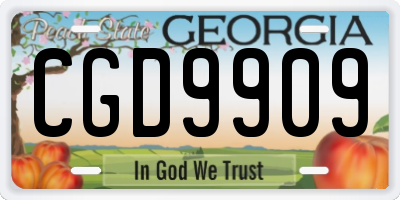 GA license plate CGD9909