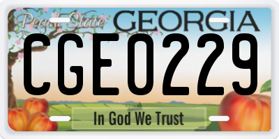 GA license plate CGE0229