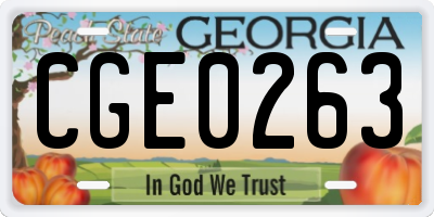 GA license plate CGE0263