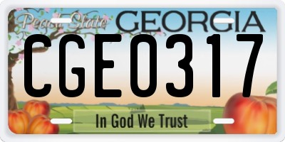GA license plate CGE0317