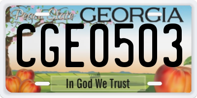 GA license plate CGE0503