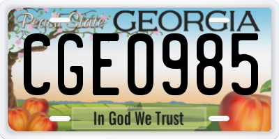 GA license plate CGE0985