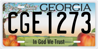 GA license plate CGE1273