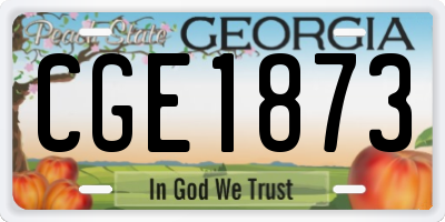 GA license plate CGE1873