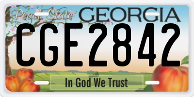 GA license plate CGE2842