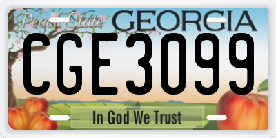 GA license plate CGE3099