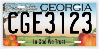 GA license plate CGE3123