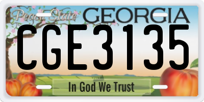 GA license plate CGE3135