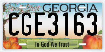 GA license plate CGE3163
